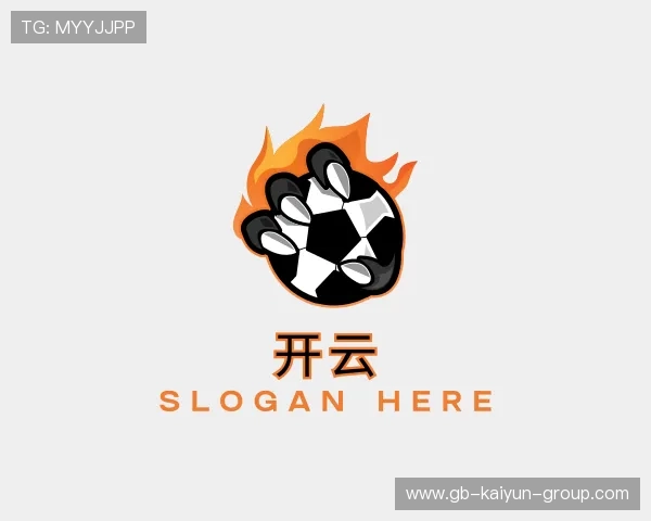 了解开云体育官网